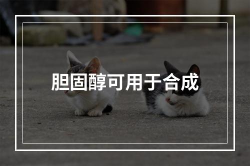 胆固醇可用于合成