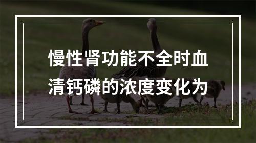 慢性肾功能不全时血清钙磷的浓度变化为