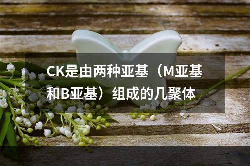 CK是由两种亚基（M亚基和B亚基）组成的几聚体