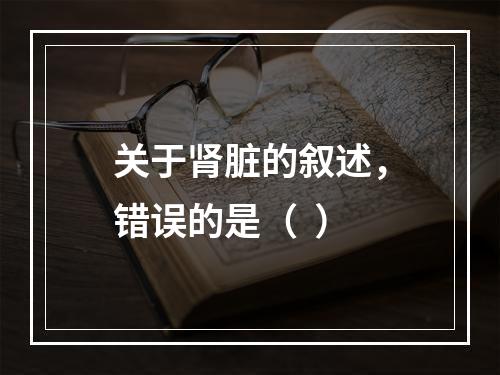 关于肾脏的叙述，错误的是（  ）