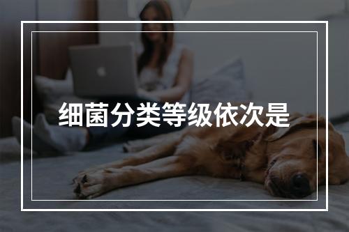 细菌分类等级依次是