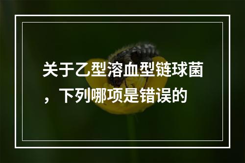 关于乙型溶血型链球菌，下列哪项是错误的