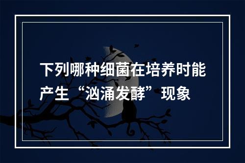 下列哪种细菌在培养时能产生“汹涌发酵”现象