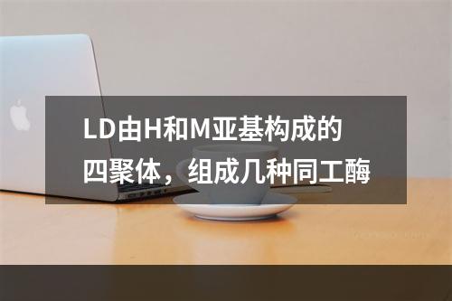 LD由H和M亚基构成的四聚体，组成几种同工酶