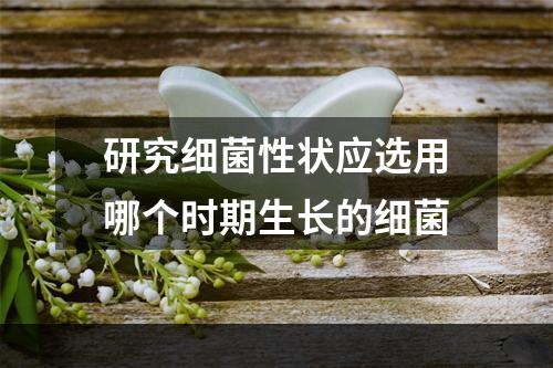 研究细菌性状应选用哪个时期生长的细菌