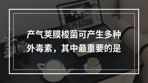 产气荚膜梭菌可产生多种外毒素，其中最重要的是