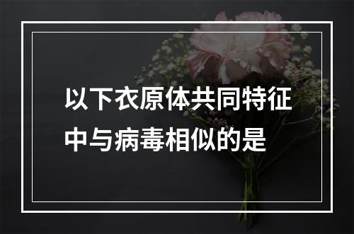 以下衣原体共同特征中与病毒相似的是