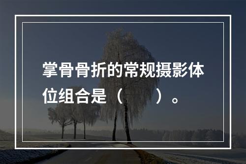 掌骨骨折的常规摄影体位组合是（　　）。