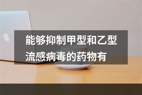 能够抑制甲型和乙型流感病毒的药物有