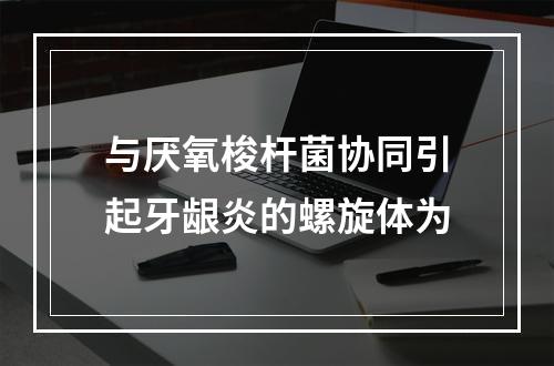 与厌氧梭杆菌协同引起牙龈炎的螺旋体为