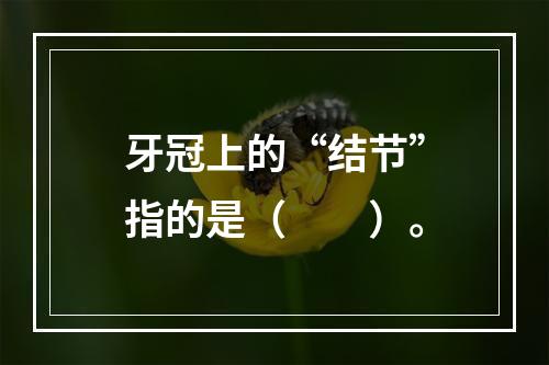 牙冠上的“结节”指的是（　　）。