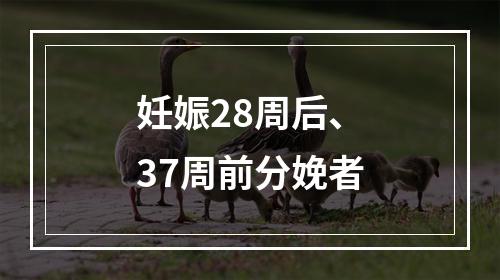 妊娠28周后、37周前分娩者