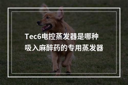 Tec6电控蒸发器是哪种吸入麻醉药的专用蒸发器