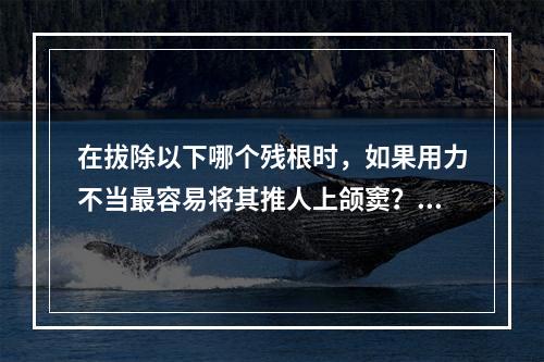 在拔除以下哪个残根时，如果用力不当最容易将其推人上颌窦？（