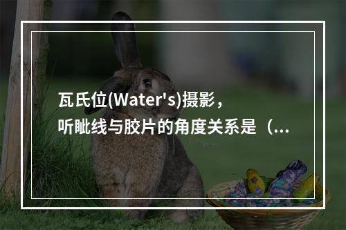 瓦氏位(Water's)摄影，听眦线与胶片的角度关系是（　