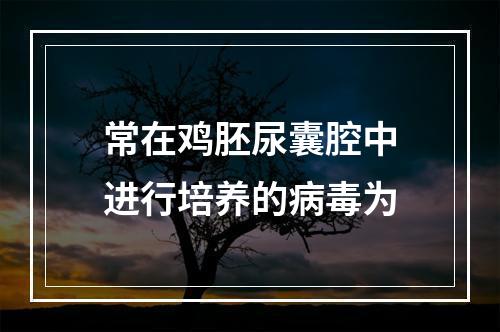 常在鸡胚尿囊腔中进行培养的病毒为