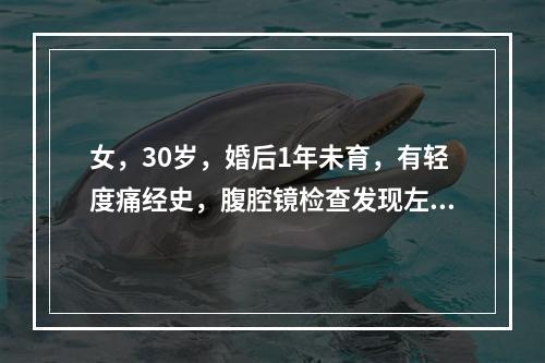 女，30岁，婚后1年未育，有轻度痛经史，腹腔镜检查发现左侧卵