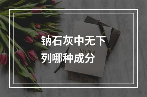 钠石灰中无下列哪种成分