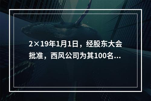 2×19年1月1日，经股东大会批准，西风公司为其100名管理