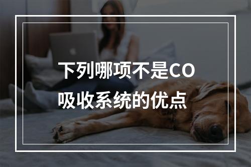 下列哪项不是CO吸收系统的优点