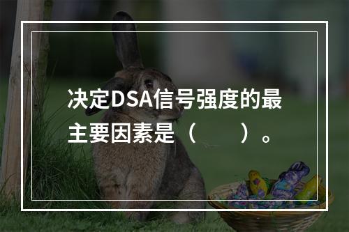 决定DSA信号强度的最主要因素是（　　）。