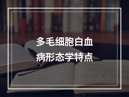 多毛细胞白血病形态学特点