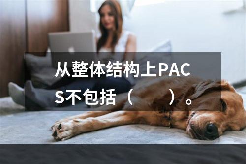 从整体结构上PACS不包括（　　）。