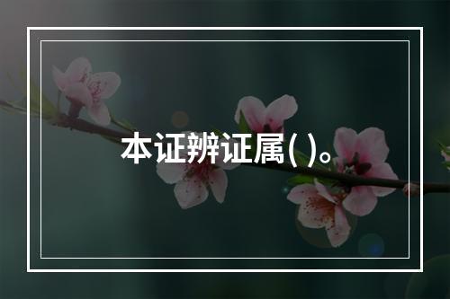 本证辨证属( )。