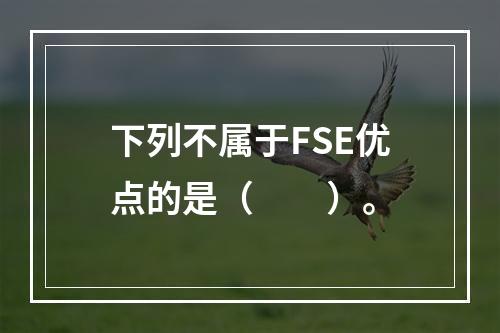 下列不属于FSE优点的是（　　）。