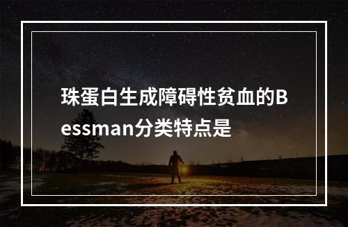 珠蛋白生成障碍性贫血的Bessman分类特点是