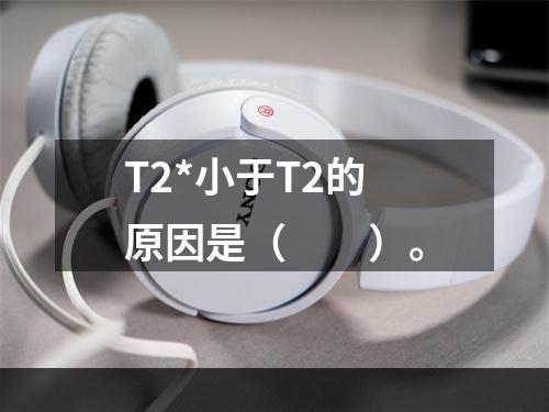 T2*小于T2的原因是（　　）。