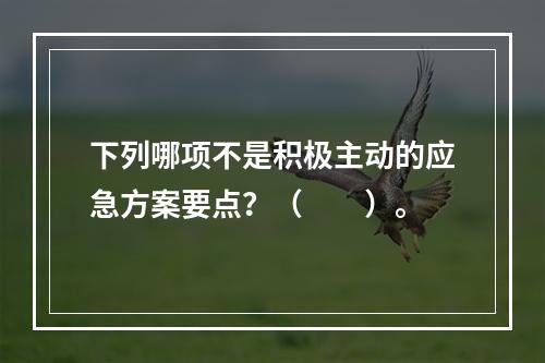 下列哪项不是积极主动的应急方案要点？（　　）。