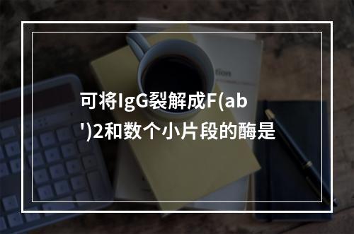 可将IgG裂解成F(ab')2和数个小片段的酶是