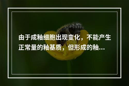 由于成釉细胞出现变化，不能产生正常量的釉基质，但形成的釉基