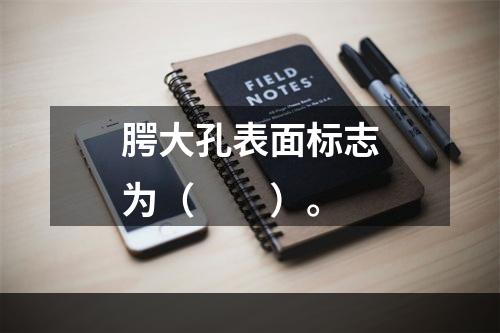 腭大孔表面标志为（　　）。