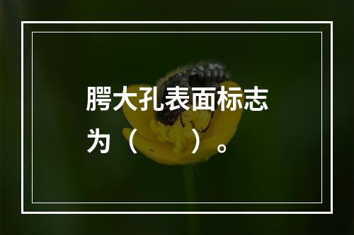 腭大孔表面标志为（　　）。