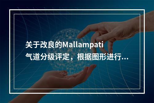 关于改良的Mallampati气道分级评定，根据图形进行判断