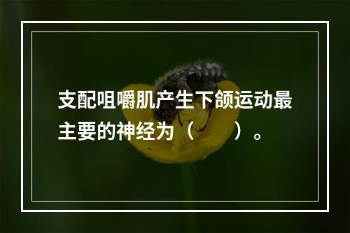 支配咀嚼肌产生下颌运动最主要的神经为（　　）。