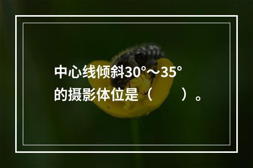 中心线倾斜30°～35°的摄影体位是（　　）。