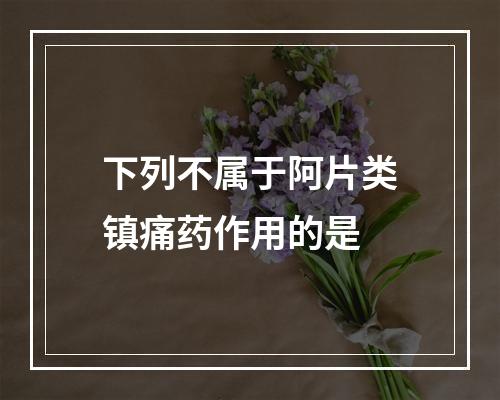 下列不属于阿片类镇痛药作用的是