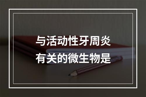 与活动性牙周炎有关的微生物是