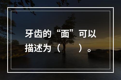 牙齿的“面”可以描述为（　　）。