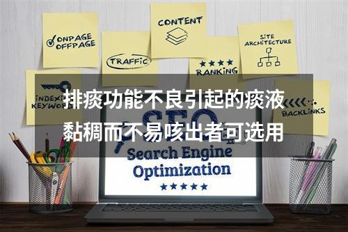 排痰功能不良引起的痰液黏稠而不易咳出者可选用