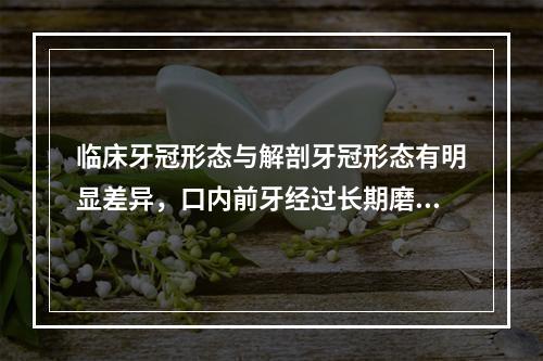 临床牙冠形态与解剖牙冠形态有明显差异，口内前牙经过长期磨耗