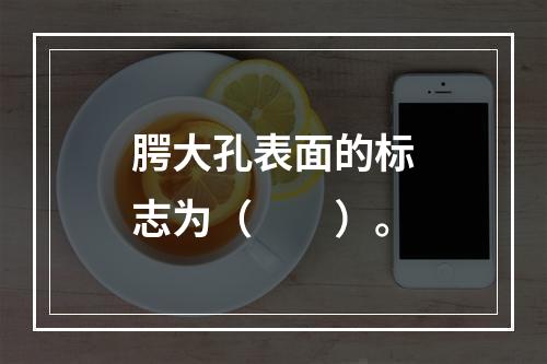 腭大孔表面的标志为（　　）。