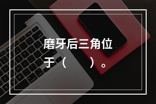 磨牙后三角位于（　　）。