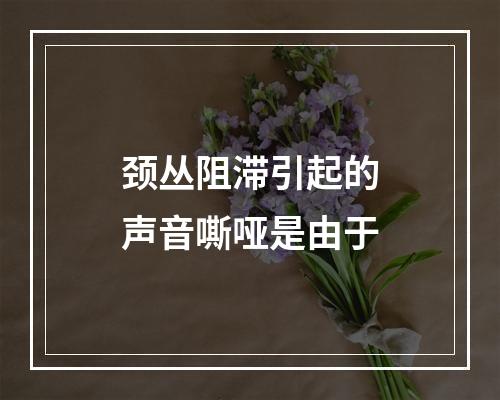 颈丛阻滞引起的声音嘶哑是由于