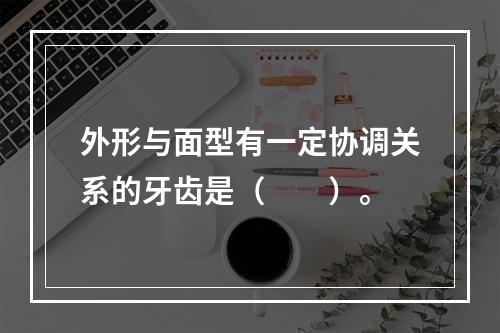 外形与面型有一定协调关系的牙齿是（　　）。