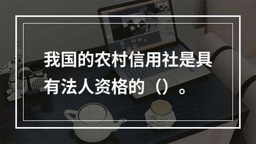 我国的农村信用社是具有法人资格的（）。