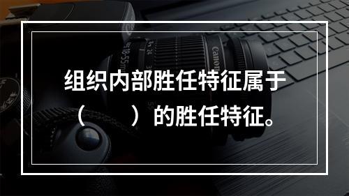 组织内部胜任特征属于（　　）的胜任特征。